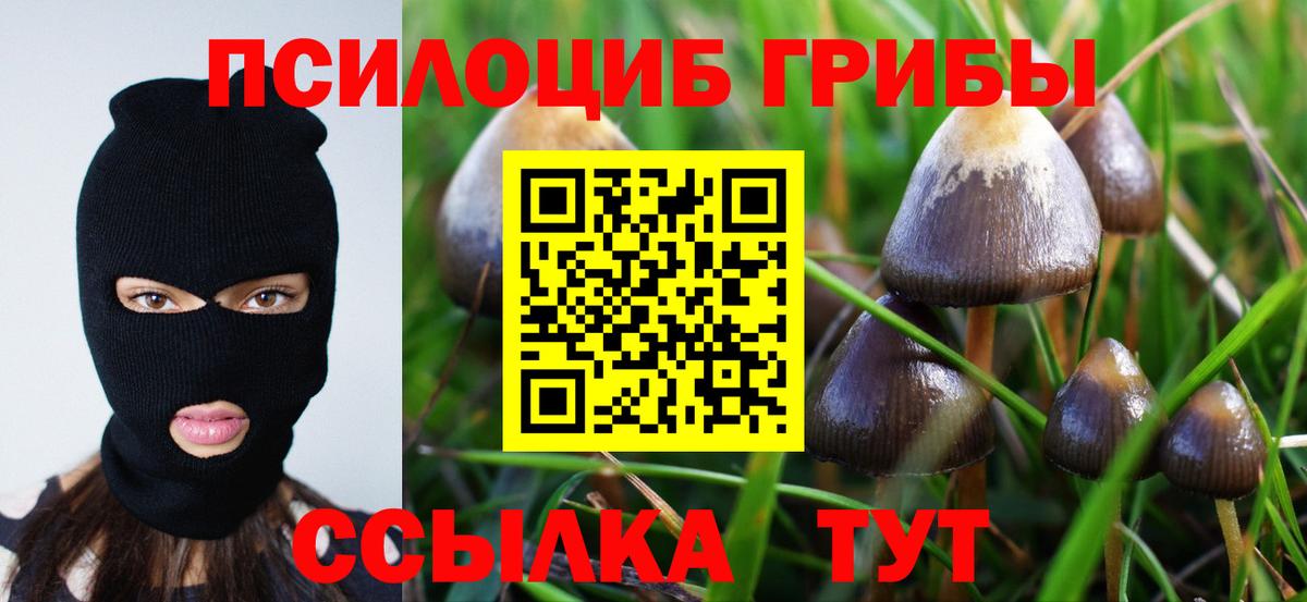 Вязьма  где можно купить наркотик  Вход с VPN  Галлюциногенные грибы Psilocybe  Галлюциногенные грибы мицелий 